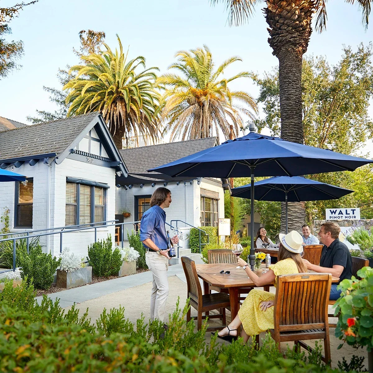 Napa & Sonoma Harvest Season: Peak Wine Country Guide