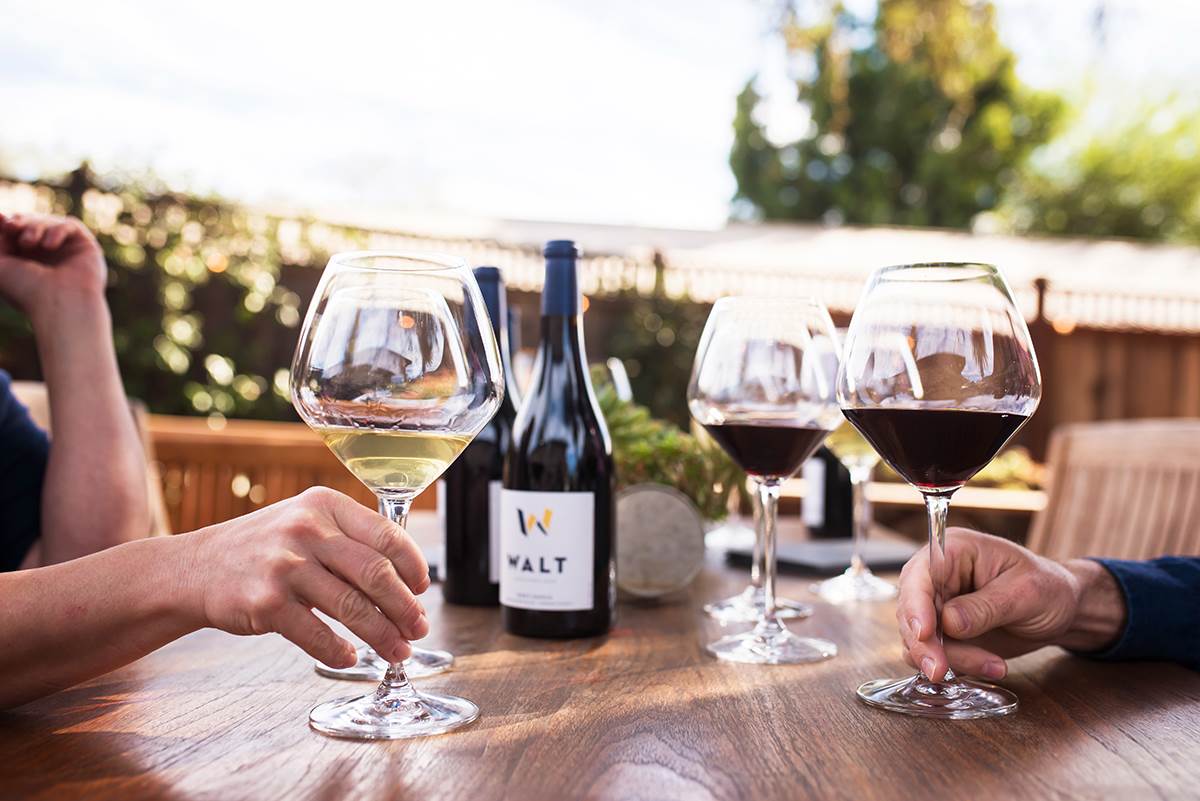 Sonoma - Current Release Tasting