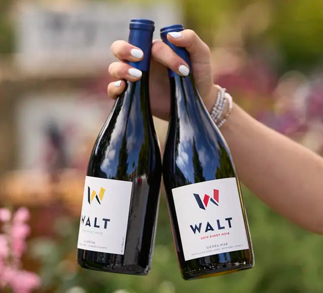 Shop All WALT