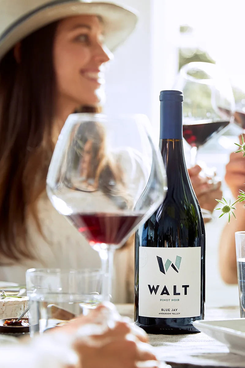 2023 WALT Blue Jay Pinot Noir - 6 Pack