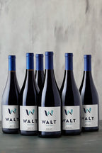 Thanksgiving Pinot Noir 6-bottle Set